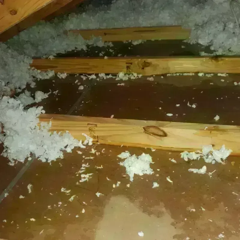 Attic Water Damage in Grant County, ND