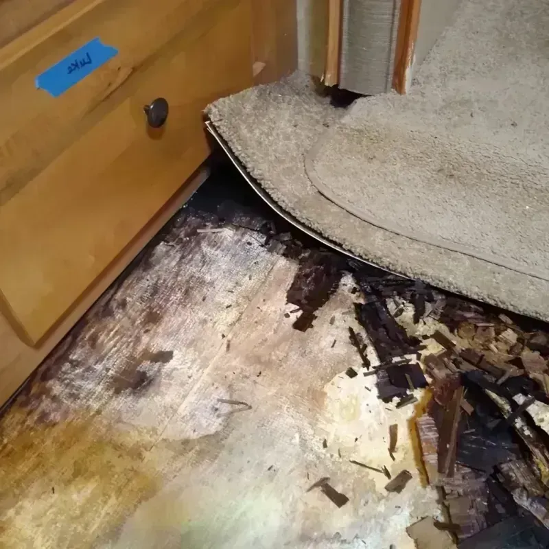 Best Wood Floor Water Damage Service in Grant County, ND